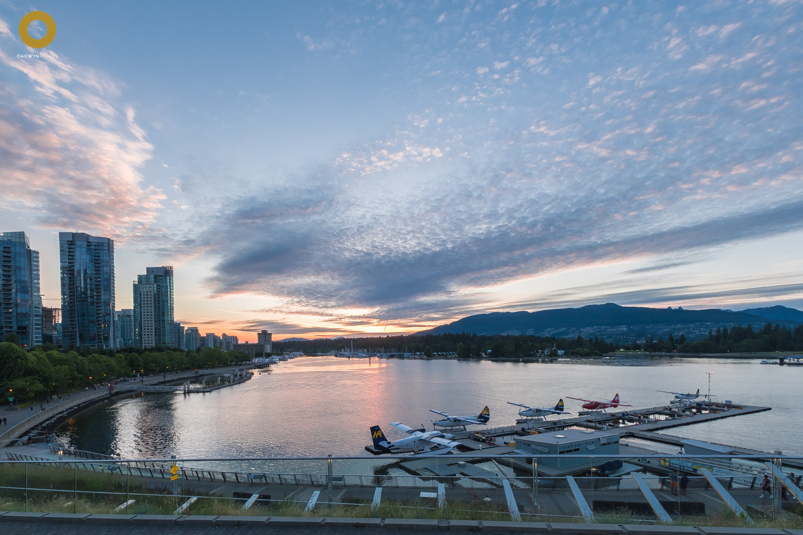 Main Page_May Tanaka-5